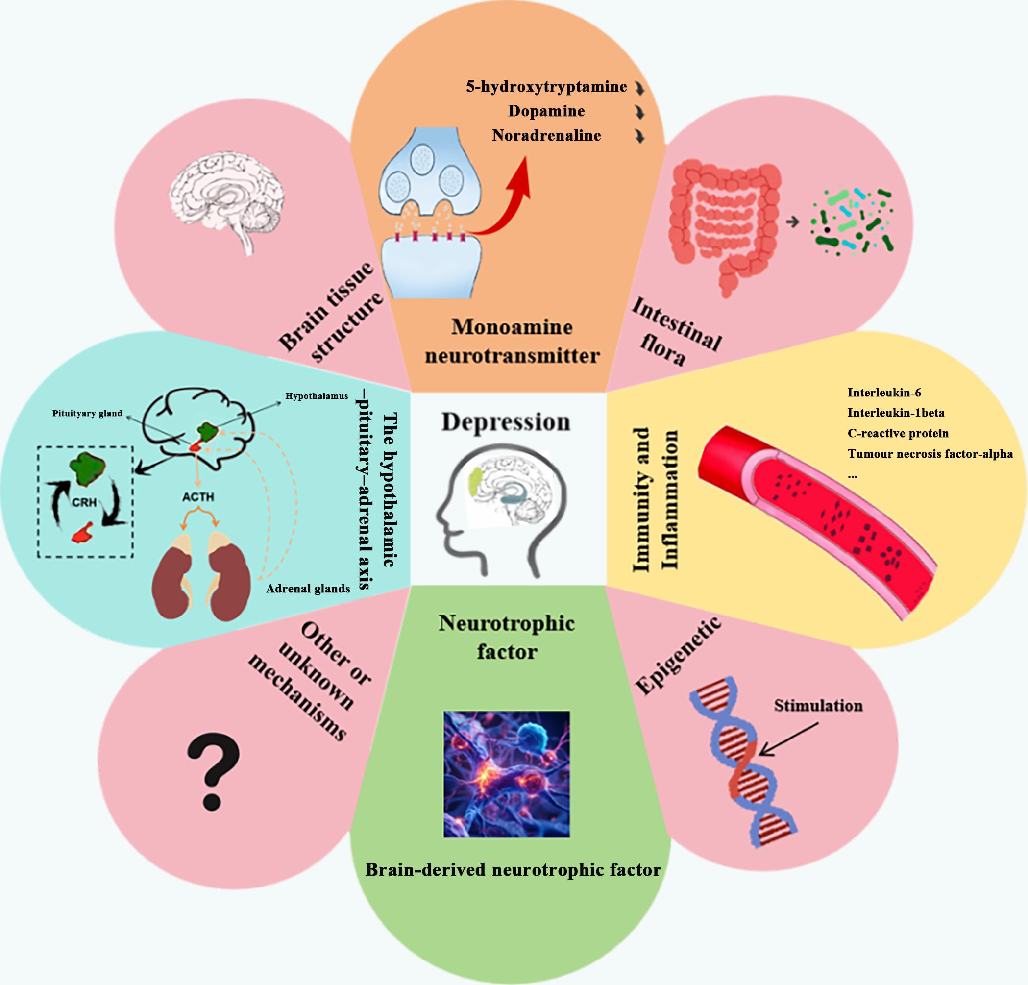 Research Progress on the Development and Evaluation of Depression Model